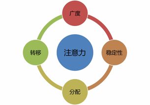 超級注意力強化班 數字文化創意內容應用服務專屬群訓練第五期開啟